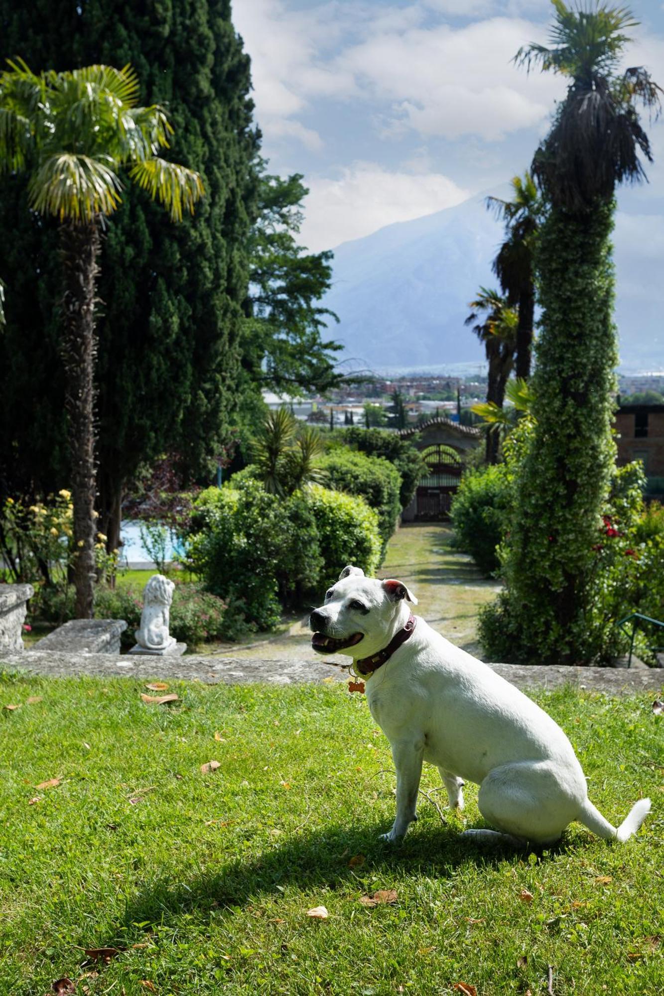 Villa Angelica Riva del Garda Exterior foto